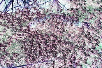 N 015B